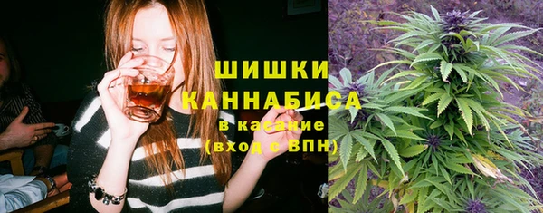 дмт Алексин