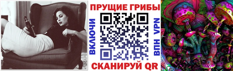 Галлюциногенные грибы Psilocybine cubensis  дарнет шоп  Волгоград 