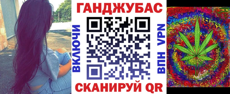 где найти наркотики  Волгоград  блэк спрут онион  Каннабис индика 